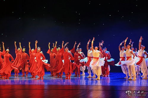 2019蘭州市惠民演出 中外精品舞蹈薈萃，點亮金城藝術之夜