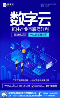 數(shù)字文化創(chuàng)意軟件開發(fā)新紀元 武漢數(shù)字云芯片辦公軟件的爆粉技巧解析